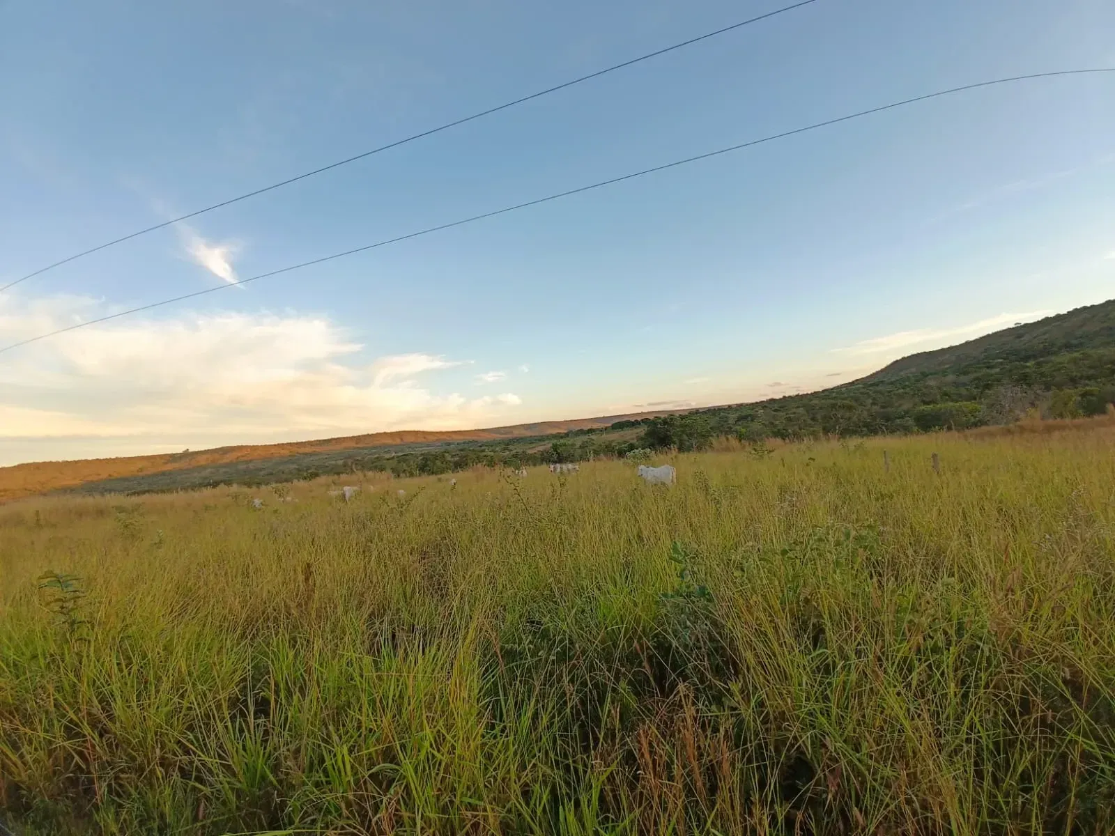 Imagem Fazenda à Venda, 247 HA em Samambaia Sul - Brasília
