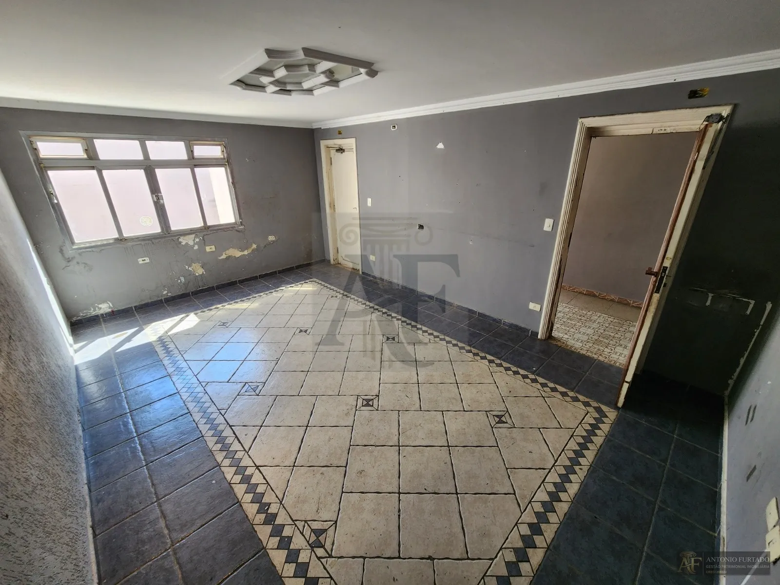 Foto do imóvel Casa para alugar em Vila Bertioga, São Paulo