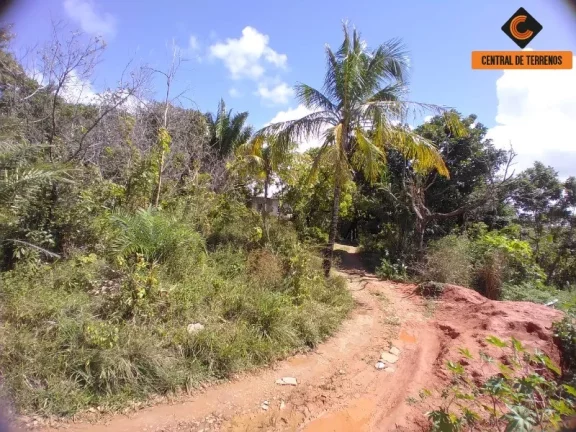 Imagem TERRENO EM MUSSURUNGA