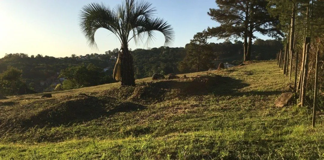 Imagem Terreno em Vila Nova