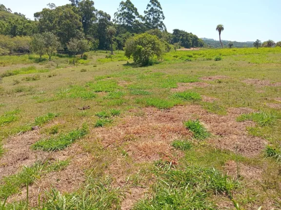 Imagem 2 HECTARES, Casa simples, Galpão, Piscina e Açude, Pimenta, Viamão/RS.