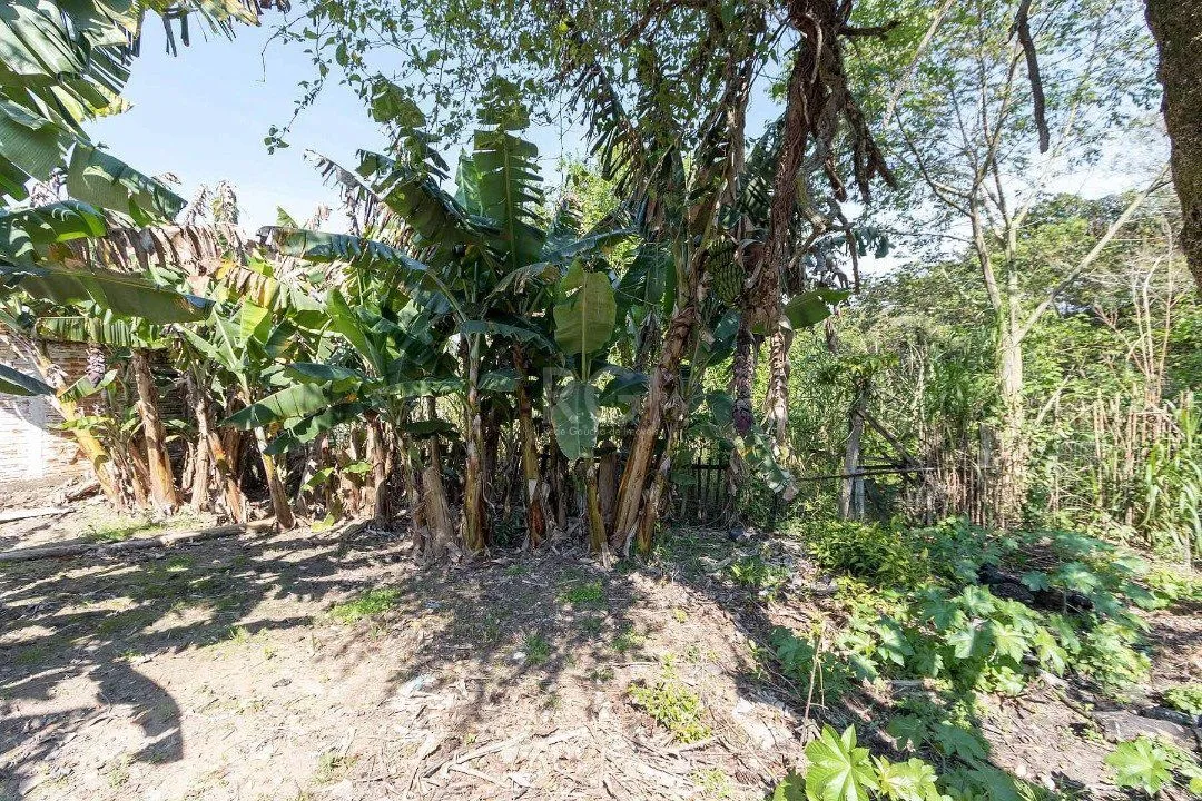 Imagem Terreno à venda em Chapéu do Sol, com área total de 345.03m².