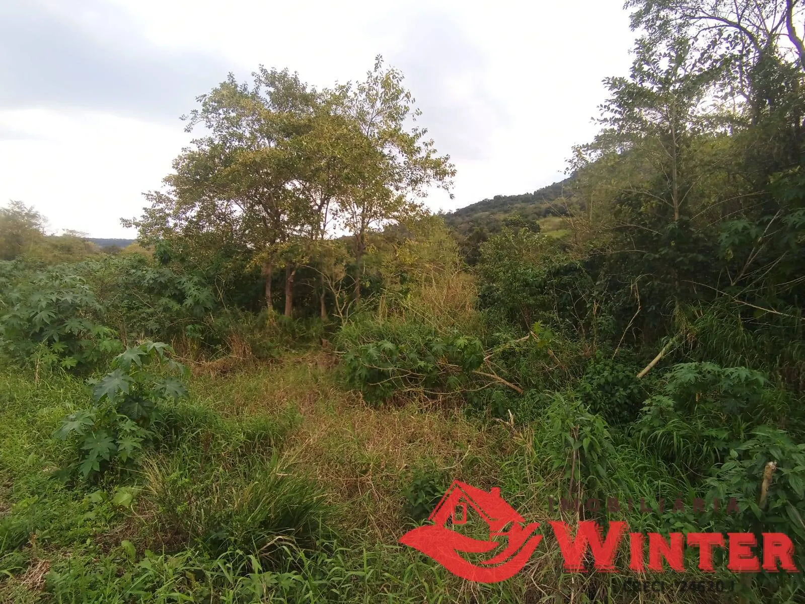 Imagem Área de terras com 20.000m2 no Vale Real