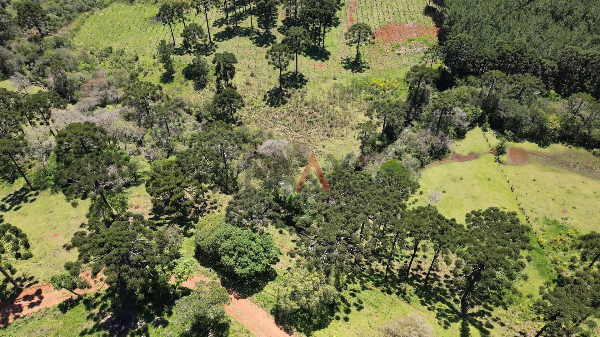 Imagem CHACARA A VENDA NO DISTRITO DO GUAIRACA, GUARAPUAVA - PR