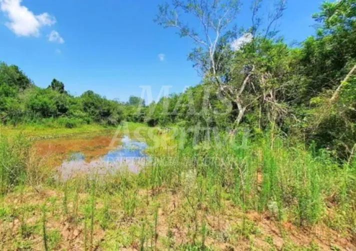 Imagem Excelente Sítio à venda em Viamão/RS - 17,9 hectares