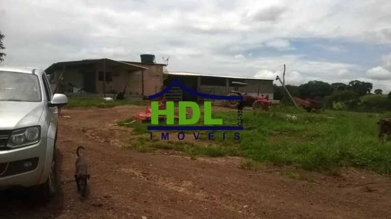 Imagem FAZENDA 38,5 ALQS TRIPLA APTIDÃO MUITA ÁGUA EM PIRACANJUBA - GO.