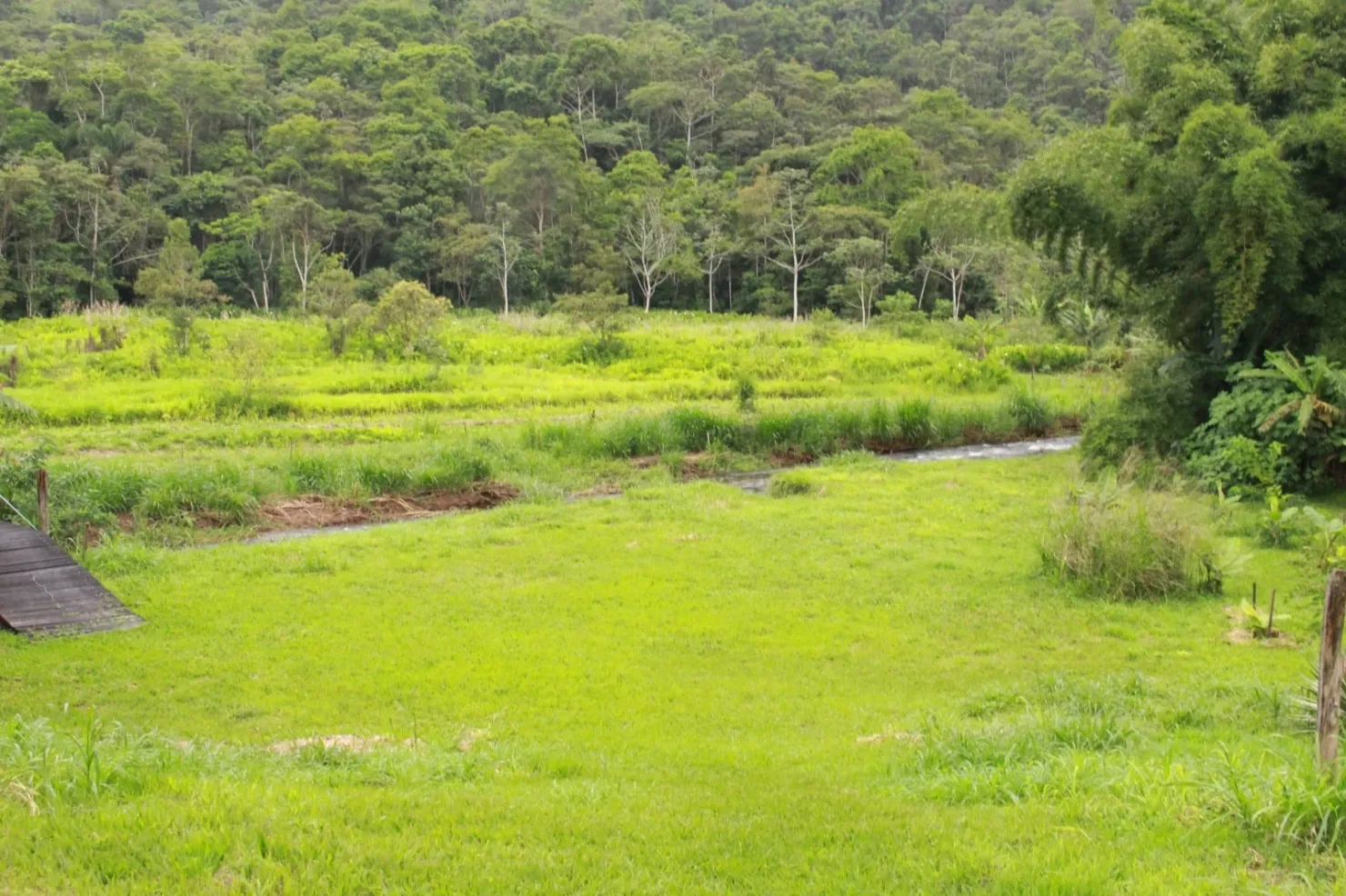 Imagem Chácara à venda 4 Quartos, 2 Suites, 20 Vagas, 60000M², Ribeirão Grande, Pindamonhangaba - SP