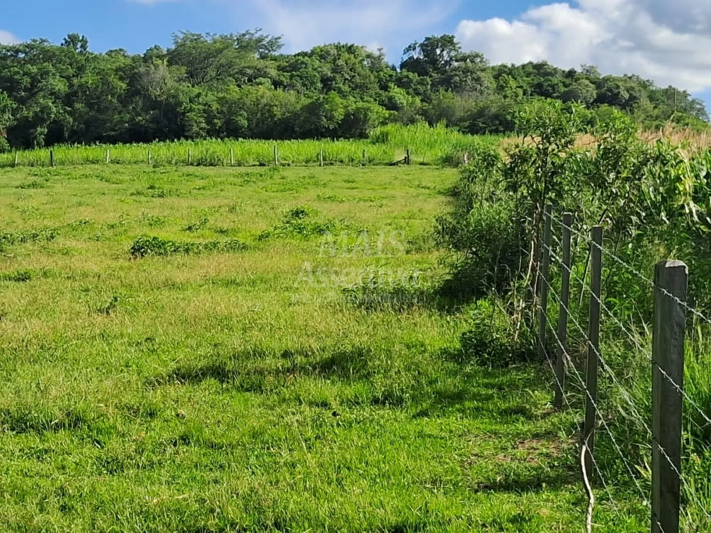 Imagem Área de Terras à venda, localizada em Taquara, ótima para plantação ou criação