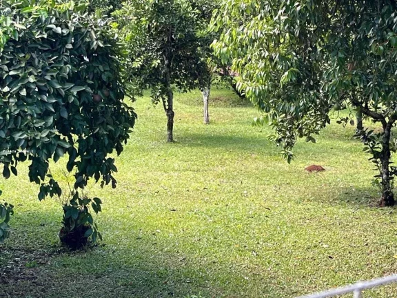 Imagem Terreno para Venda em Concórdia, Planalto