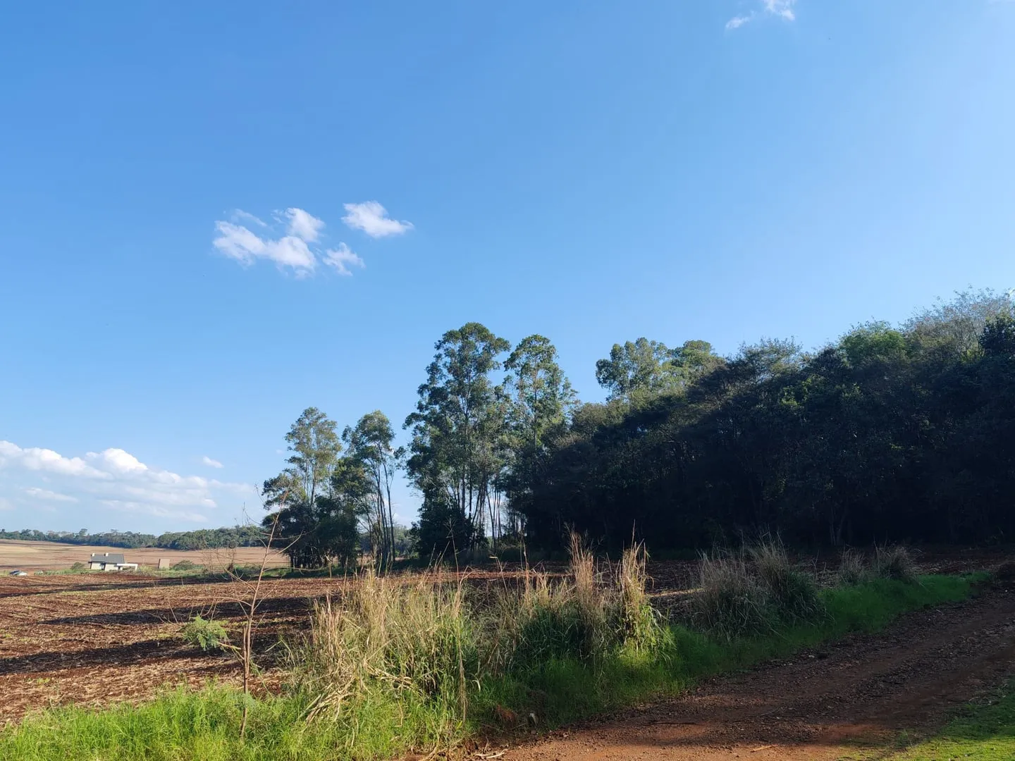 Imagem Chácara com 25.945 m² à venda em São Miguel do Iguaçu