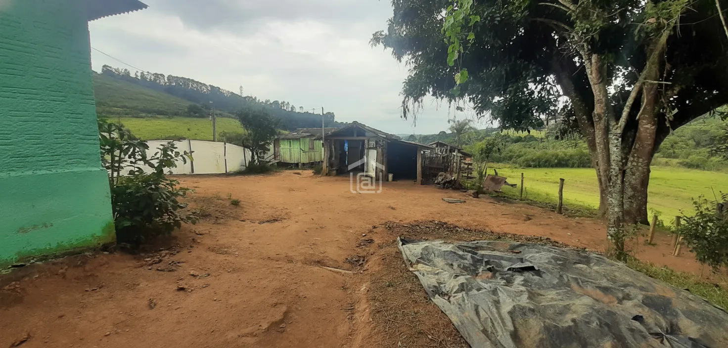 Imagem Fazenda 338,8 ha à venda em Itacolomi, Ipuiúna