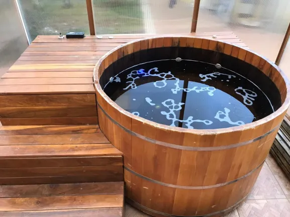 Imagem Casa de Condomínio com 4 Quartos à Venda, 260 m² em Botujuru - Mogi das Cruzes
