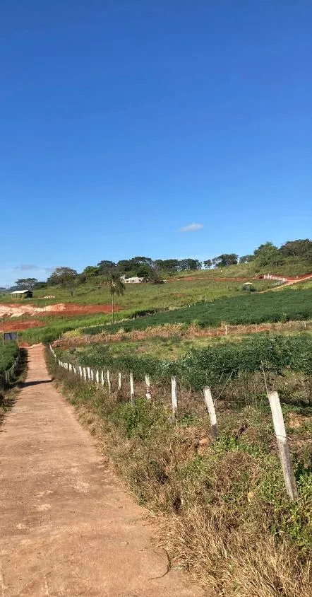 Imagem CHÁCARAS À VENDA EM CRUCILÂNDIA - MG com 10.000 m², toda plana