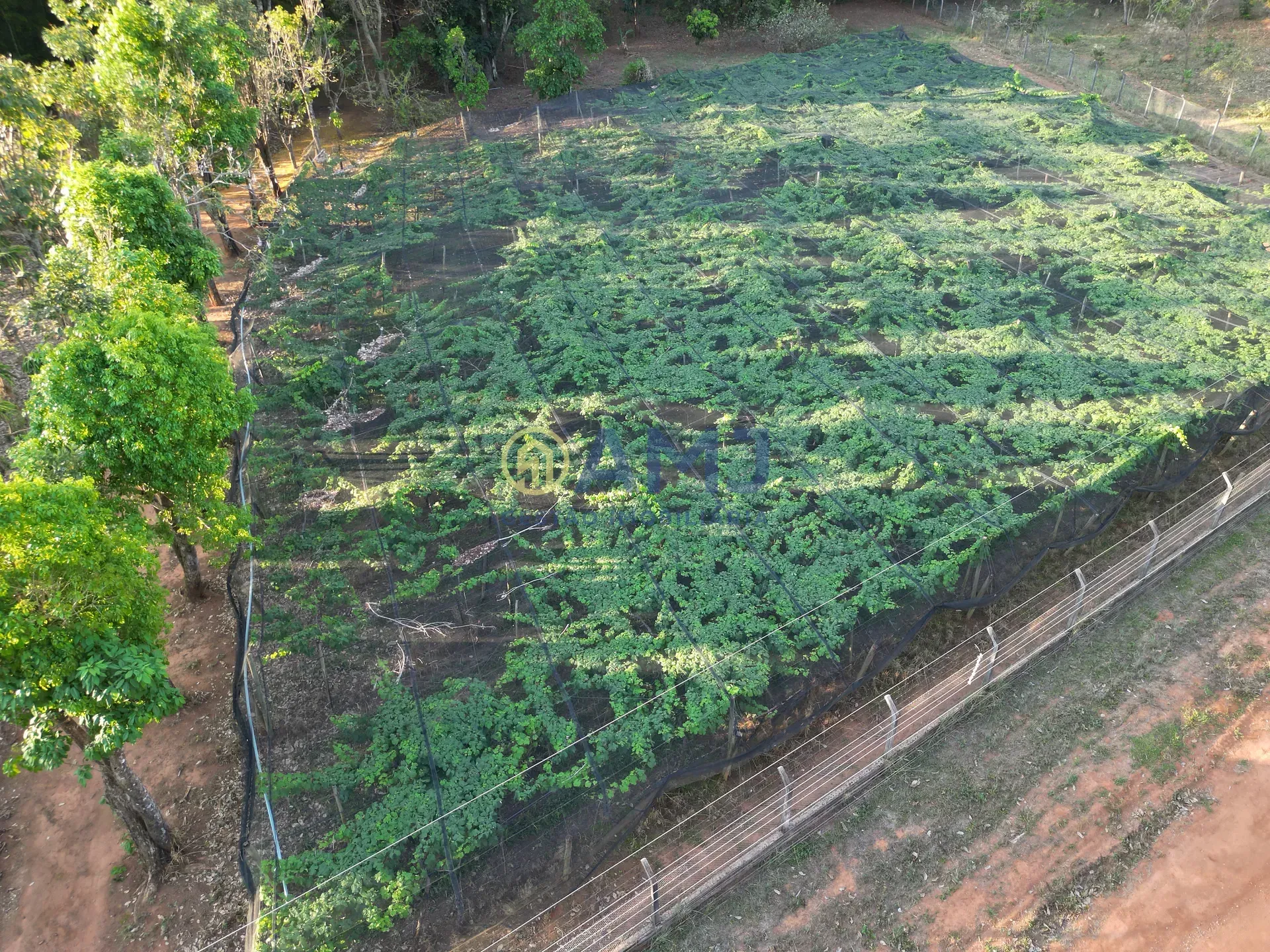 Imagem DUAS CHÁCARAS VIZINHAS À VENDA | HIDROLÂNDIA/GO