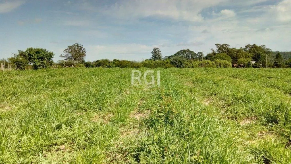 Imagem Sítio para Venda - 20060m² Zona Sul Lami