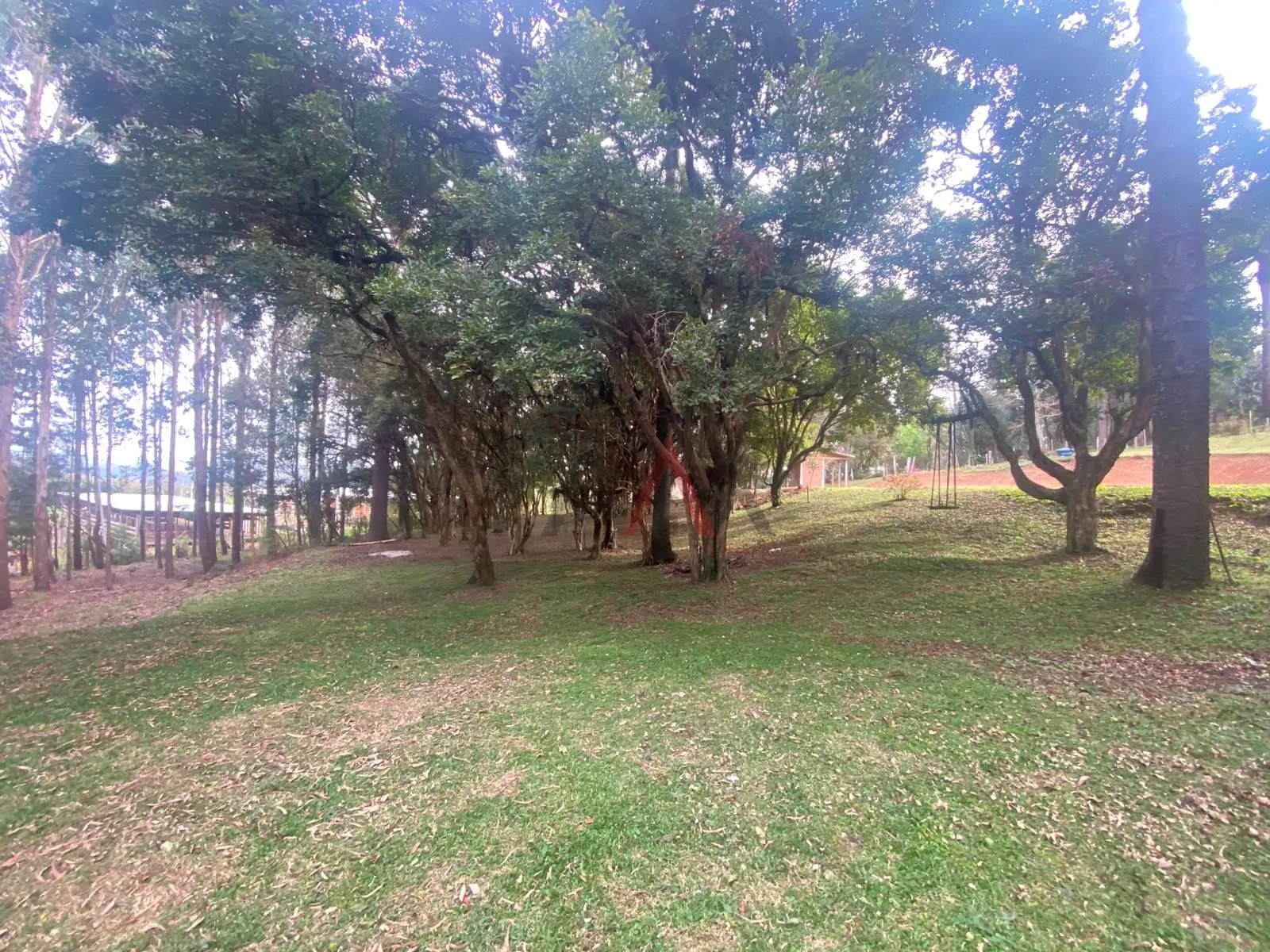 Imagem Chácara à venda, Alto Cascavel, GUARAPUAVA - PR