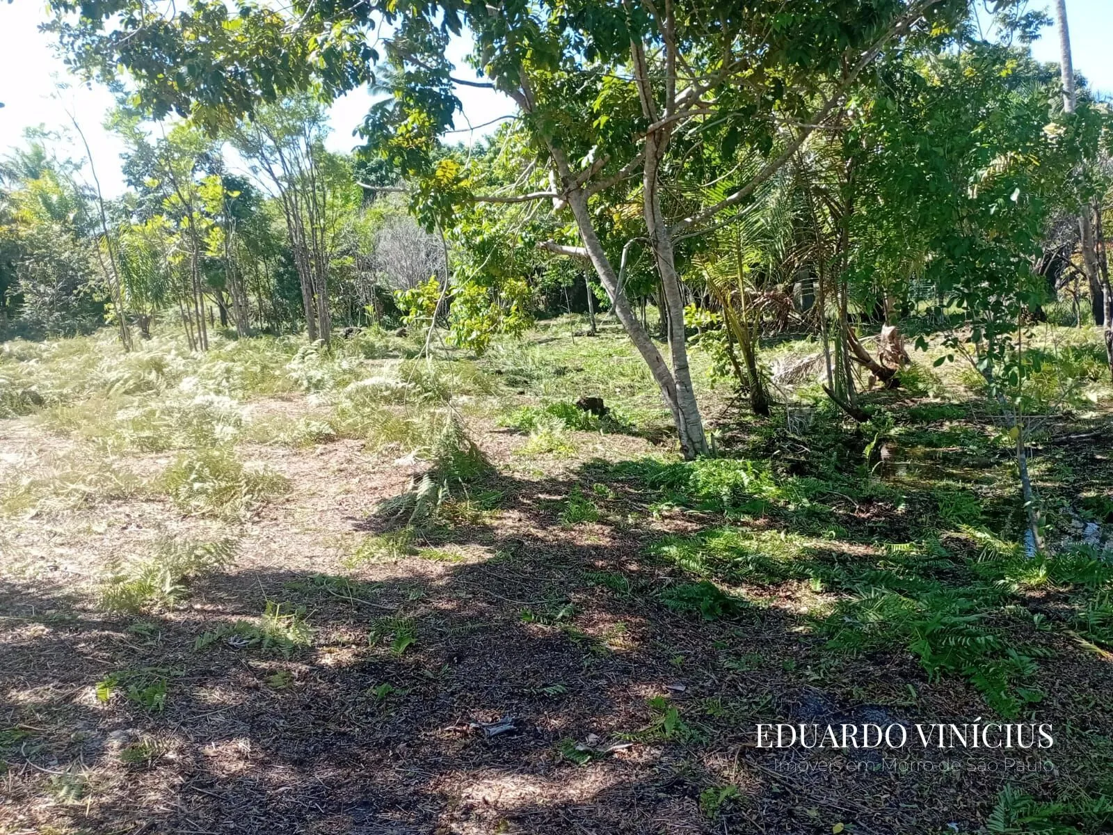 Imagem Lote com 2.500m² à venda em Garapuá