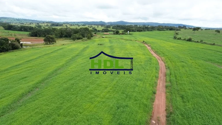 Imagem Fazenda com 15 Alqs com 10 Alqs em soja em Cromínia