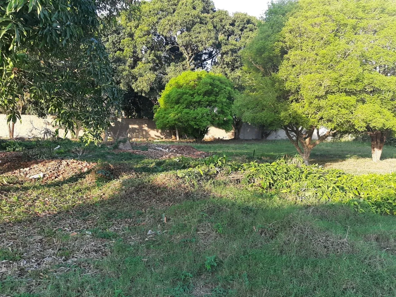 Imagem Terreno à venda 2260M², Chácara Tropical, Potim - SP