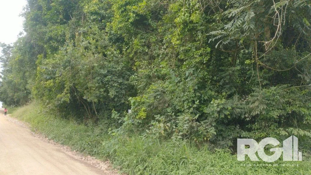 Terreno em Fiuza