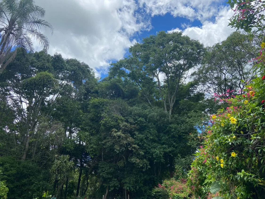 Imagem Oportunidade Única: Fazenda/Área Comercial em Betim/MG 40 hectares
