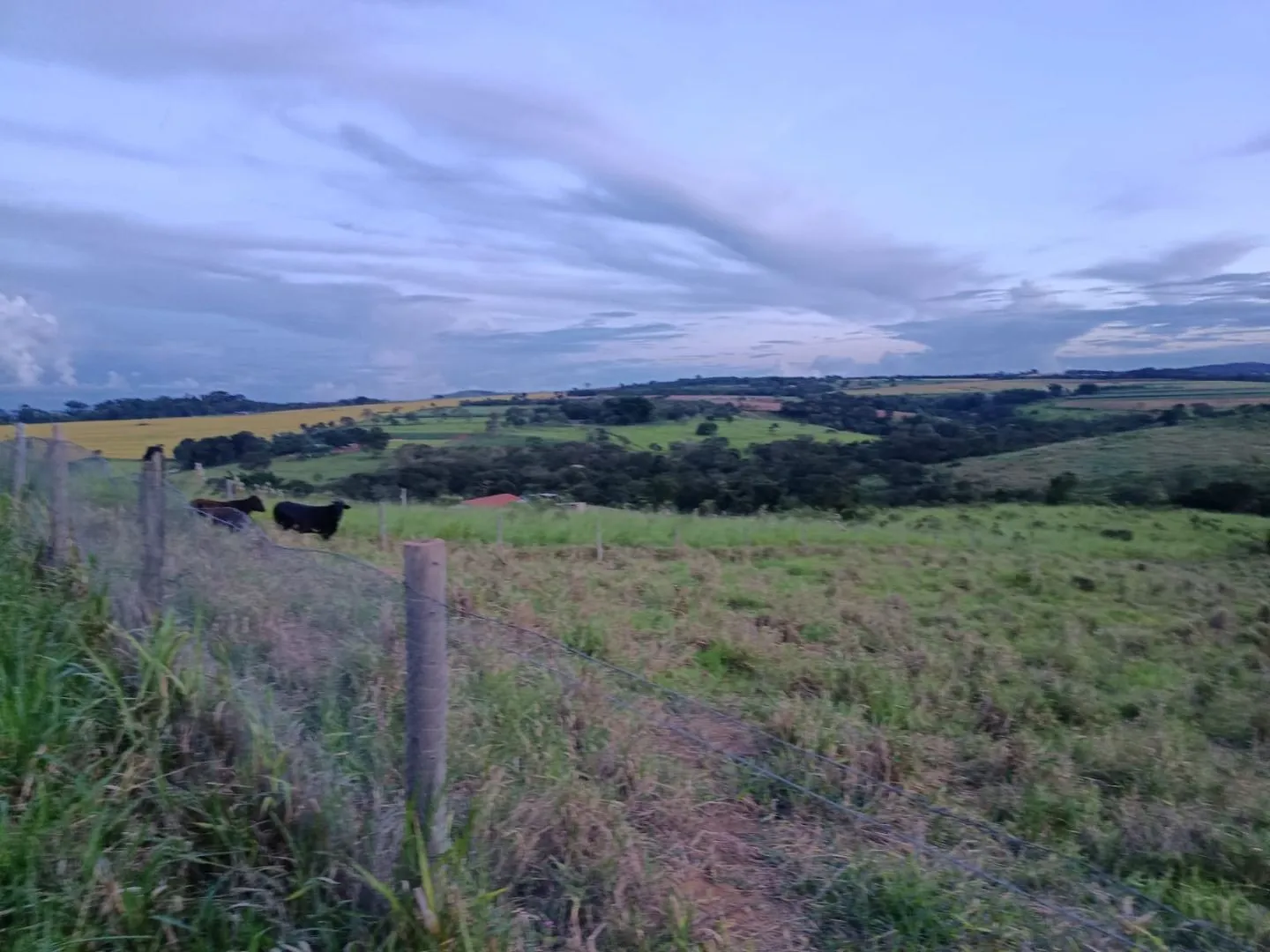 Imagem Chácara à venda, 20000 m² por R$ 430.000,00 - Área Rural de Patos de Minas - Patos de Minas/MG