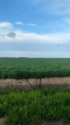 Imagem Fazenda à Venda – 194 Hectares – Viamão/RS