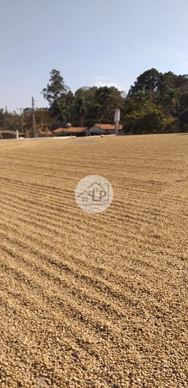 Imagem Fazenda de Café à Venda na Região do Alto Paranaíba - Minas Gerais