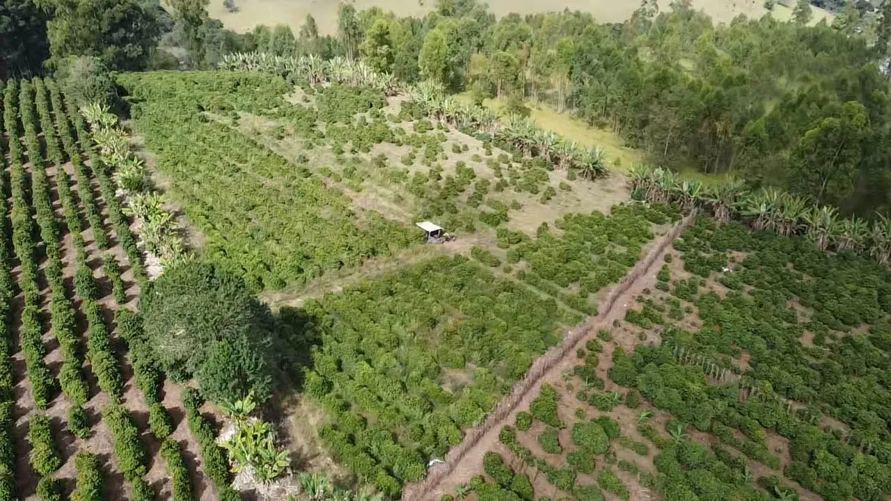 Imagem Sítio 1,3 ha à venda em Capituvas, Campestre
