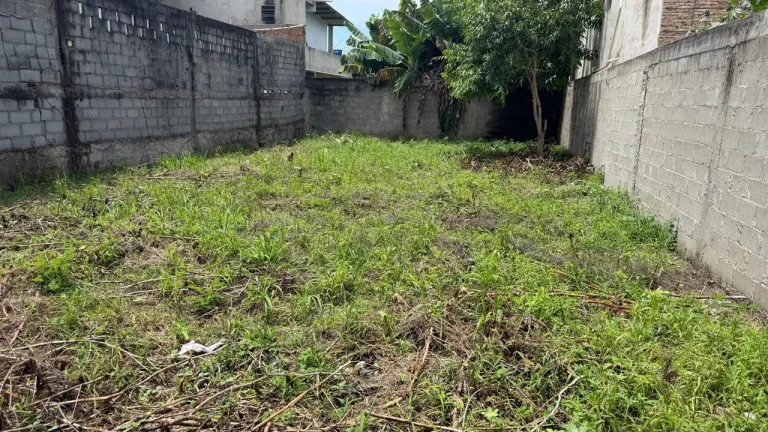 Imagem VENDO EXCELENTE TERRENO NO BAIRRO DARLY SANTOS.