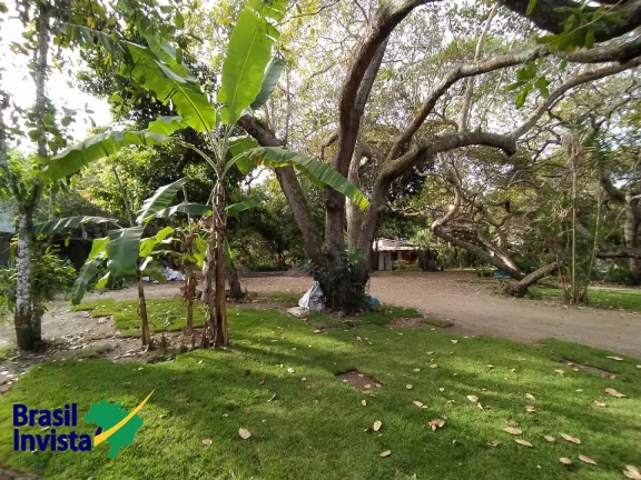 ÁREA EM ARRAIAL D'AJUDA