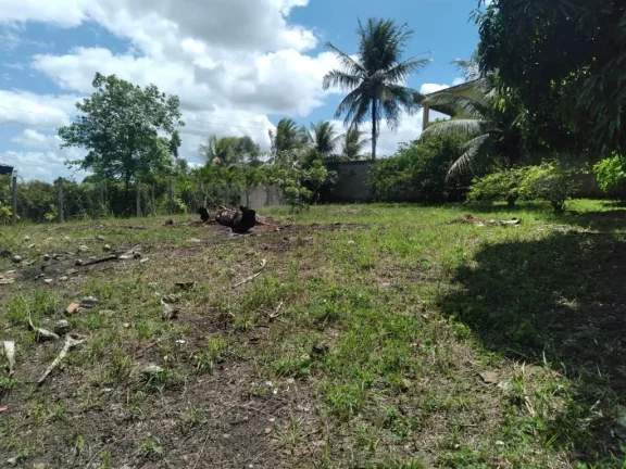 Imagem Terreno de 2.800m² à venda, localizado em Chã de Onça, Paudalho - Pernambuco.