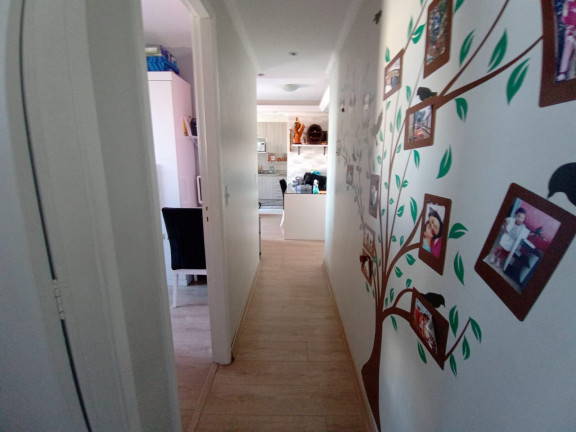 Imagem Apartamento com 2 Quartos à Venda, 50 m² em Jardim Norma - São Paulo
