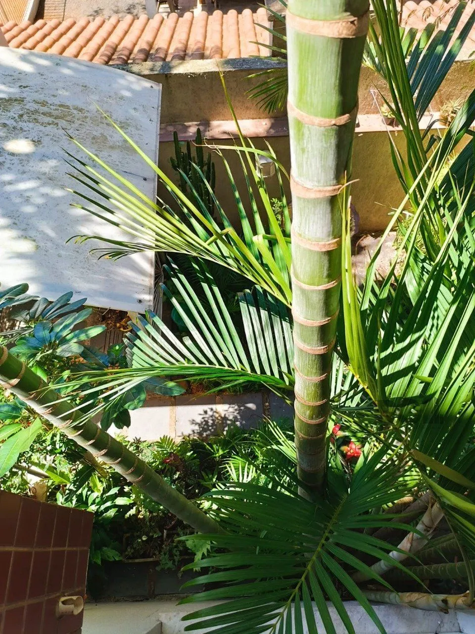 Imagem Apartamento para Venda 2 dormitórios, 1 vaga - Jardim do Salso