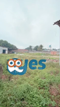 Imagem Galpão comercial no Cis - Tomba para Locação
