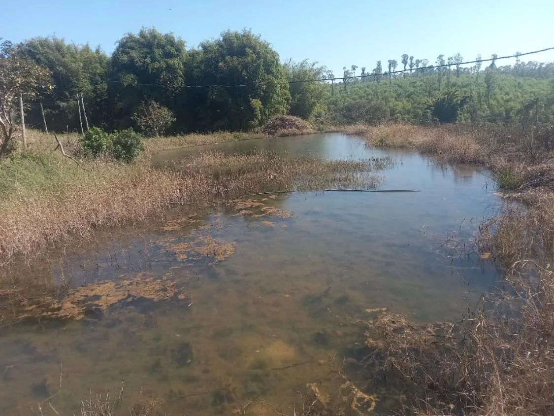 Excelente Oportunidade: Terreno de 30 Hectares em Passa tempo/MG