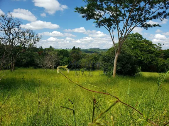 Imagem Terreno Padrão
