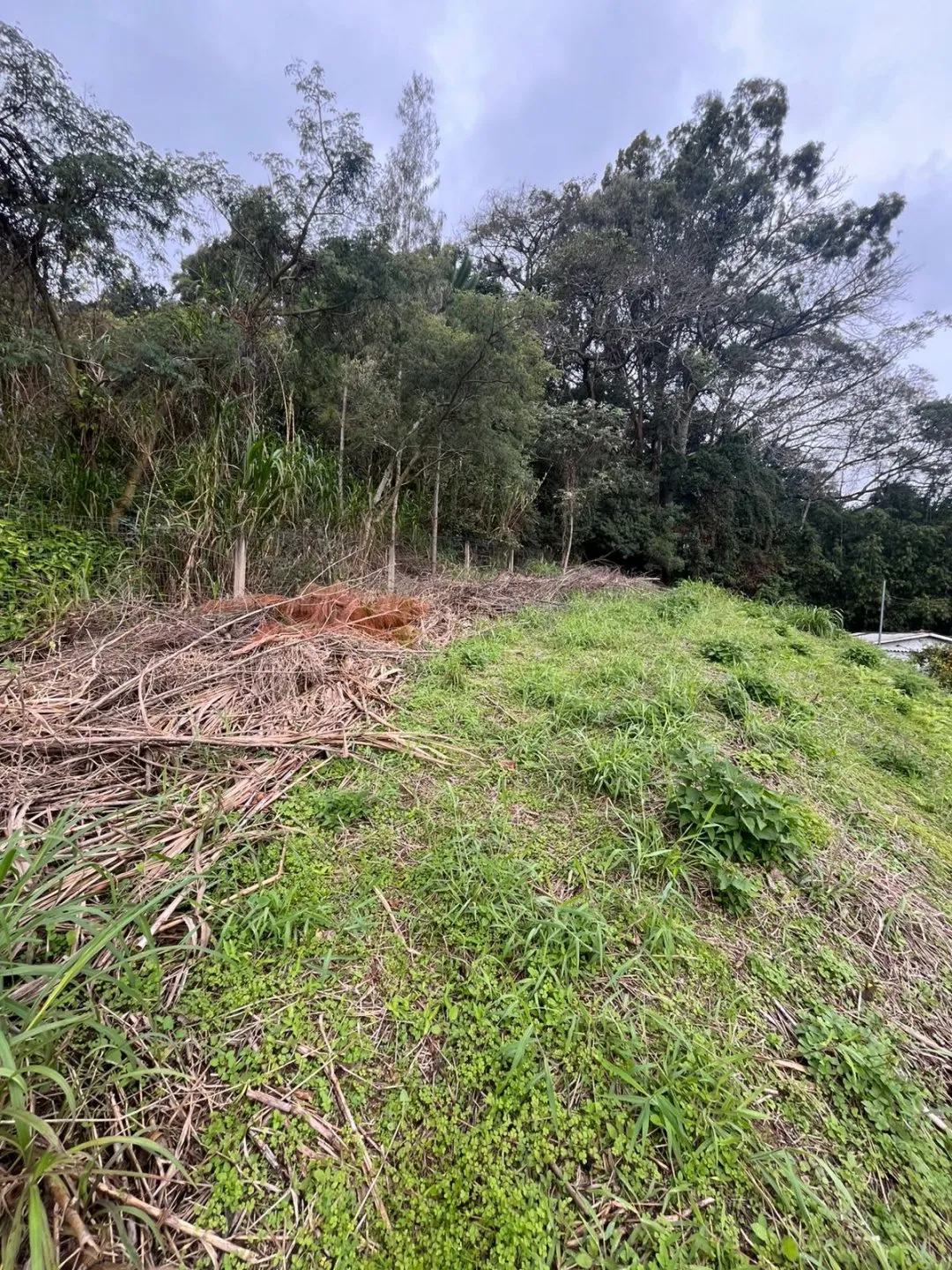 Imagem Terreno a venda com 875,06m² próximo ao Colégio Calábria na Vila Nova