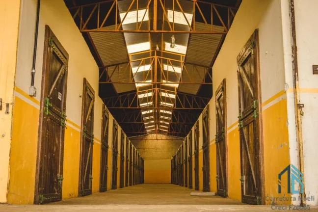 Imagem Sítio/Haras com 52,00 área e 3.000m² área construída, Barracões, 6 casas de funcionários, 29 cocheiras, em Tijucas do Sul - PR