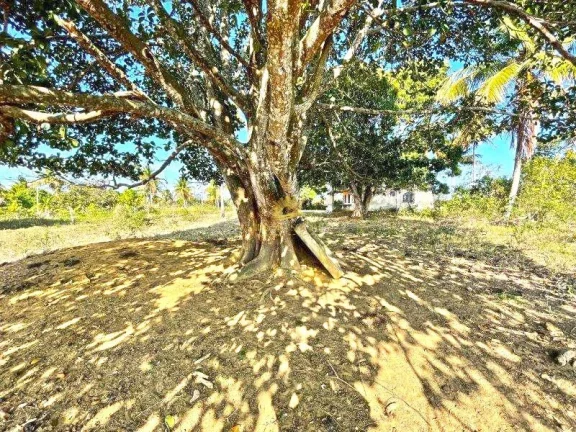 Imagem Área rural com 117.000m² a 10 minutos do centro de Guarapari, pronta para plantio, muita área liv...