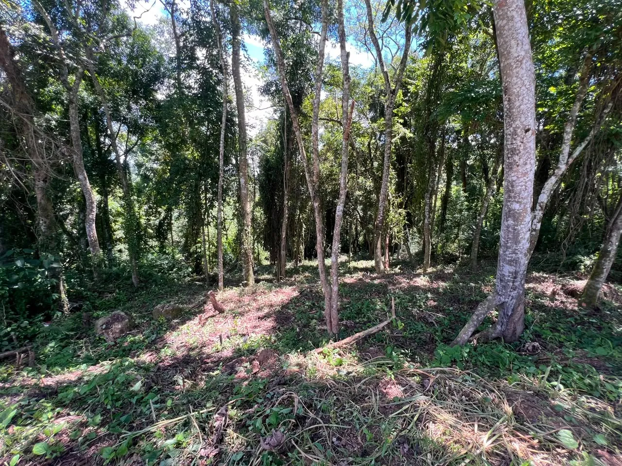 Imagem Terreno à 600mts da Repressa de Itupararanga no Loteamento Saveiros de Ibiúna