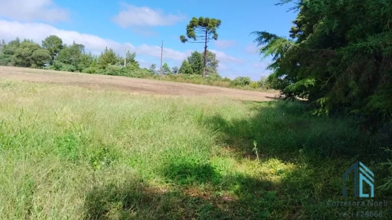 Imagem Sitio a venda 20 alqueires no Município de Pinhão - PR