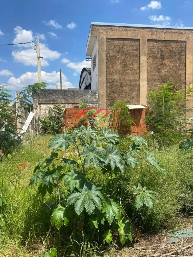 Imagem Terreno para Venda em Sumaré, Jardim São Francisco (Nova Veneza)