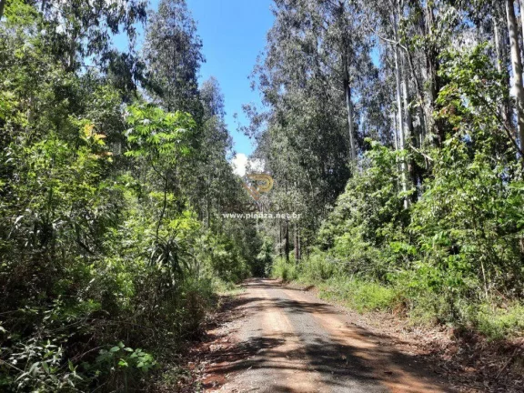 Imagem Área Agrícola para Venda em Concórdia, Interior