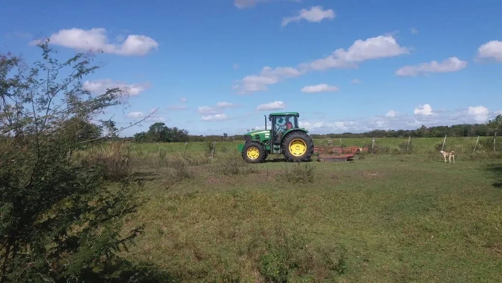 Imagem Sítio em Pedreira