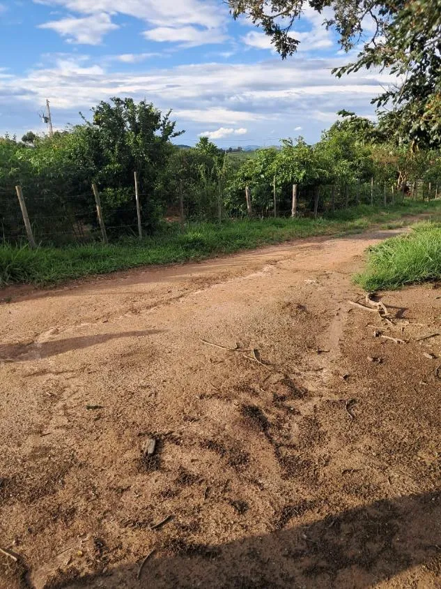 Imagem VENDE-SE FAZENDA EM PASSA TEMPO / MG área total de 100 hectares