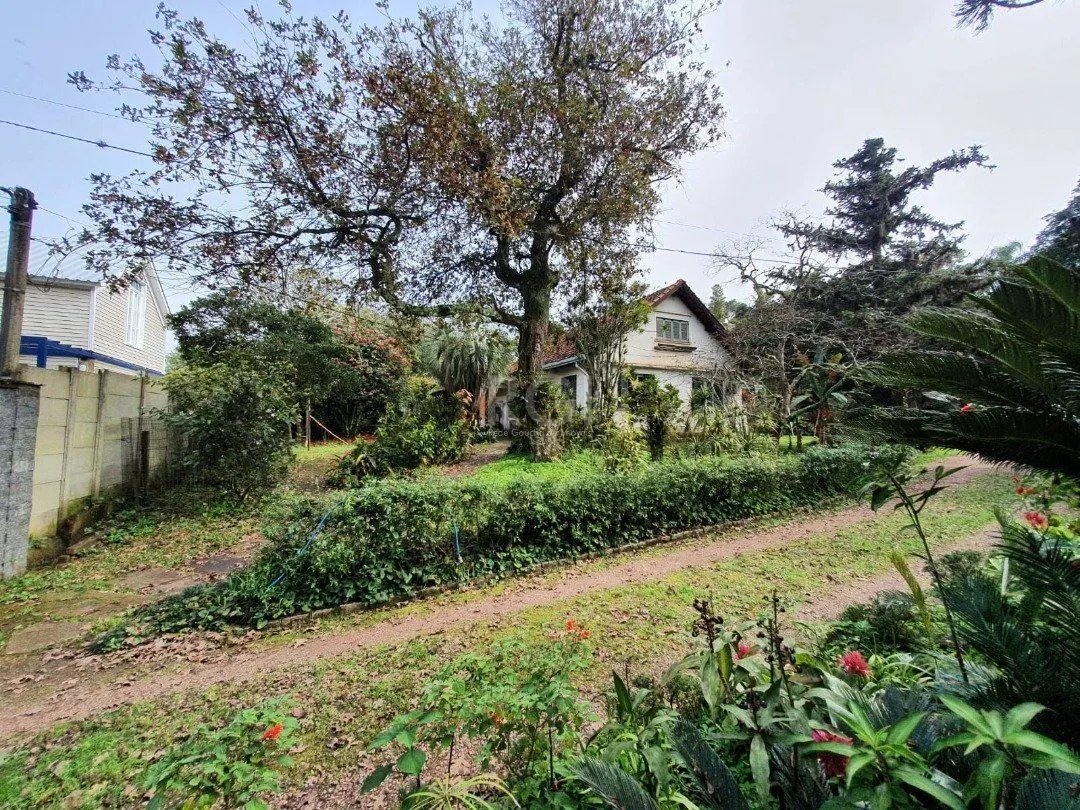 Imagem DOIS GRANDES TERRENOS localizados
