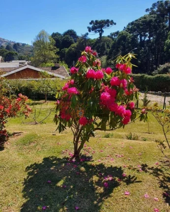 Imagem Casa com 3 dormitórios à venda, 235 m² por R$ 1.250.000,00 - Alto Do Capivari - Campos do Jordão/SP