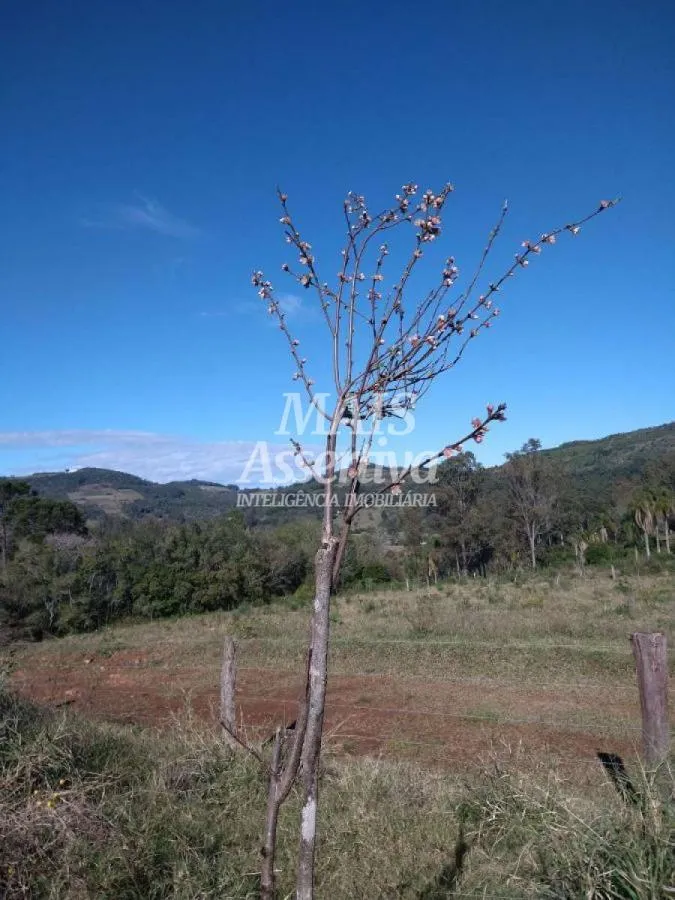 Imagem Terreno para Venda em Santo Antônio da Patrulha / RS