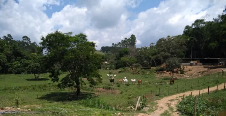 Chácara à Venda, 84.700 m² em Centro - Santa Isabel